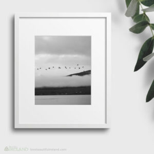 Flock of Birds and Low Hanging Mists Over Kenmare Bay, County Kerry, Ireland - Framed Print Limited Edition Black and White Photo Wall Art P01
