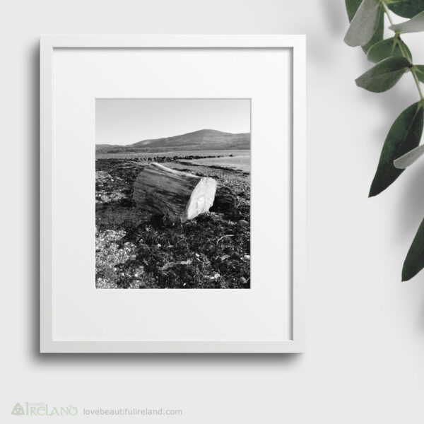 Log Washes Ashore in Kenmare Bay, County Kerry, Ireland - Framed Print Limited Edition Black and White Photo Wall Art P01