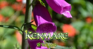Kenmare Heritage Town - A Beautilful Holiday Town in County Kerry - LoveBeautifulIreland.com