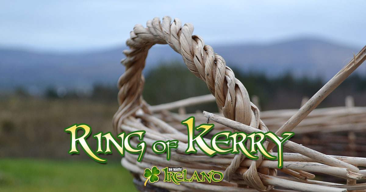 The Ring of Kerry is a popular tourist route in Ireland that offers breath-taking views of the country's rugged coastline and lush green landscapes.