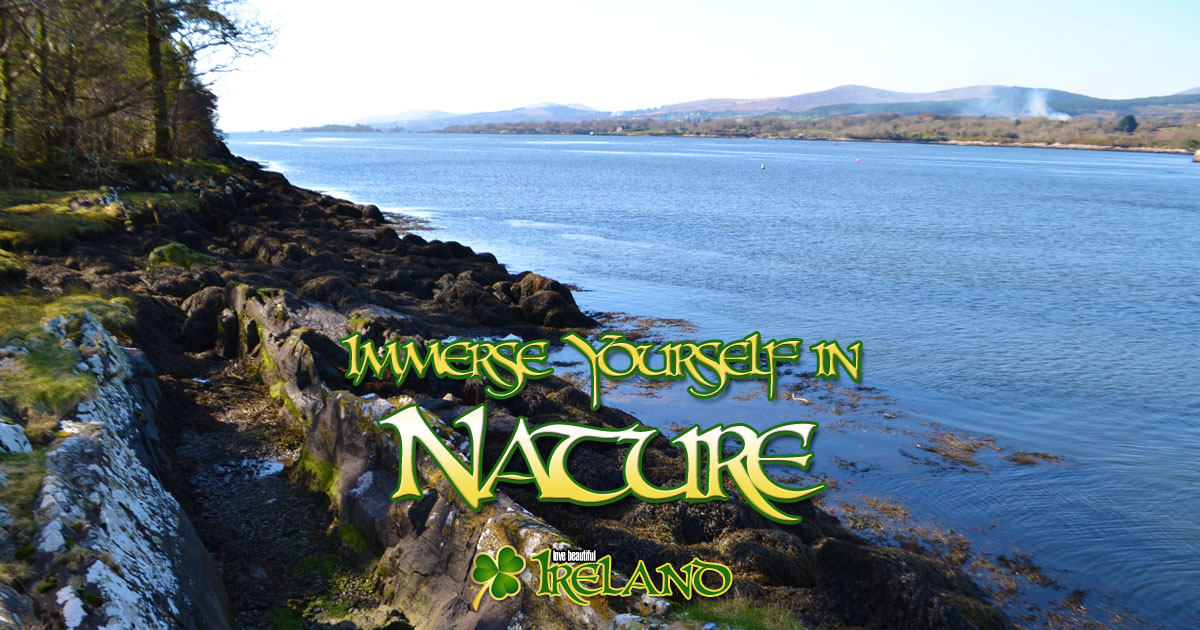 Immerse Yourself in Nature in Kenmare, County Kerry, Ireland